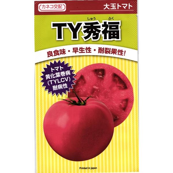 大玉トマト 種&lt;br&gt; 『TY秀福』  カネコ種苗/コート1000粒