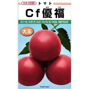 大玉トマト 種<br> 『Cf優福』  カネコ種苗/100粒｜tanehyo