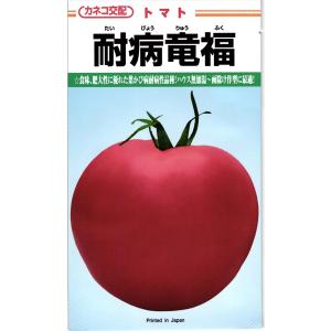 大玉トマト 種<br> 『耐病竜福』  カネコ種苗/1000粒｜tanehyo