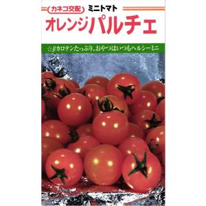 ミニトマト 種<br> 『オレンジパルチェ』  カネコ種苗/小袋（13粒）｜tanehyo