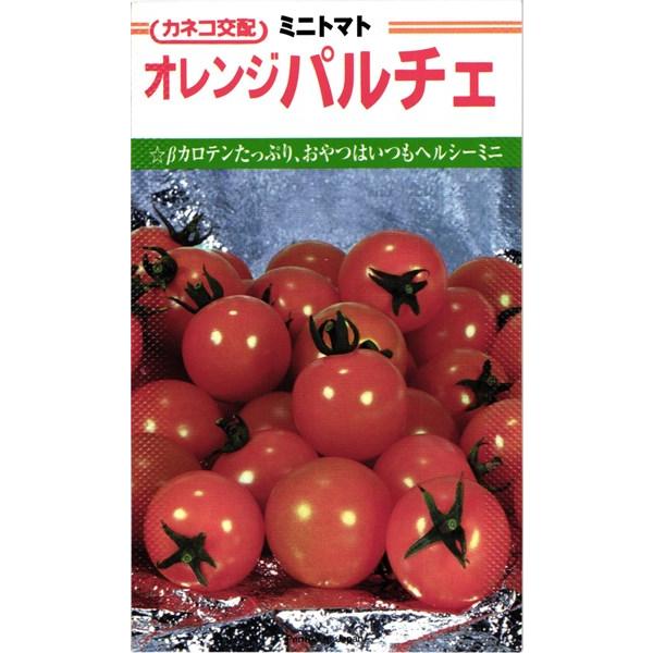 ミニトマト 種&lt;br&gt; 『オレンジパルチェ』  カネコ種苗/小袋（13粒）
