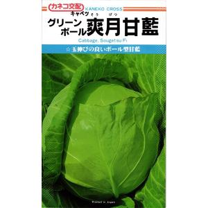 極早生キャベツ 種<br> 『爽月』  カネコ種苗/小袋（1.1ml）｜tanehyo