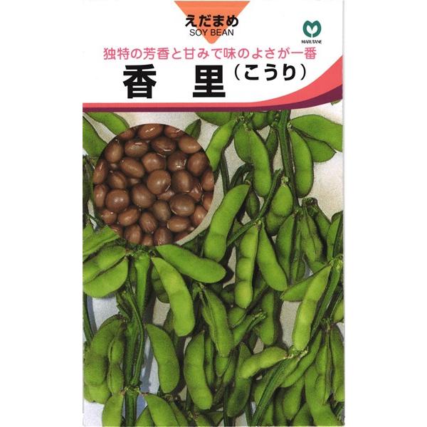 茶豆エダマメ 種&lt;br&gt; 『香里』  丸種/1L