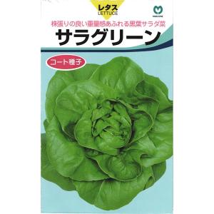 リーフレタス 種<br> 『サラグリーン』  丸種/コート5000粒｜tanehyo