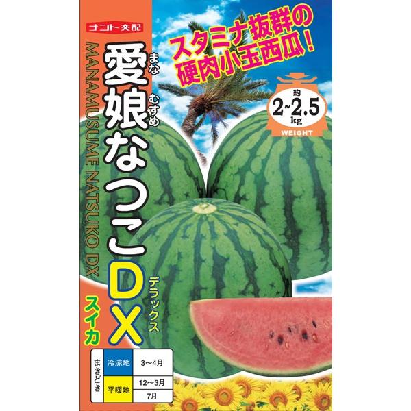 紅小玉スイカ 種&lt;br&gt; 『愛娘なつこＤＸ』  ナント種苗/200粒