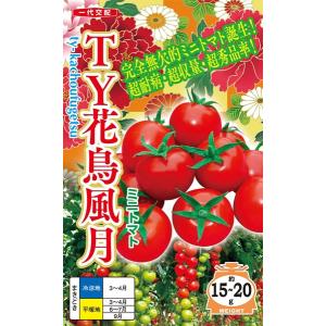 ミニトマト 種<br> 『TY花鳥風月』  ナント種苗/500粒｜tanehyo