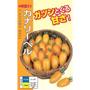 プラム型ミニトマト 種<br> 『カナリーベル』  ナント種苗/小袋（20粒）｜tanehyo
