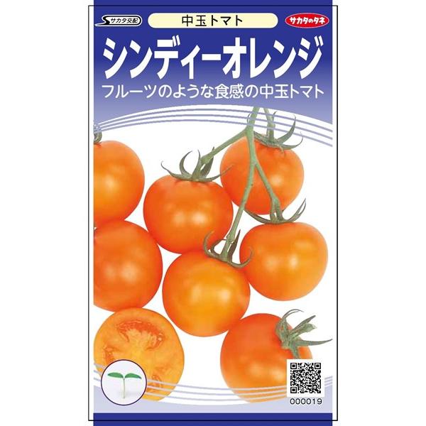 中玉トマト 種&lt;br&gt; 『シンディーオレンジ』  サカタのタネ/【PRIMAX】1000粒