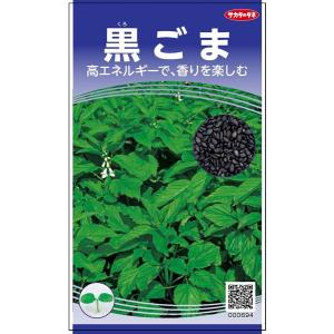 黒ゴマ 種<br> 『黒ゴマ』  サカタのタネ/小袋（粒数目安2000粒）