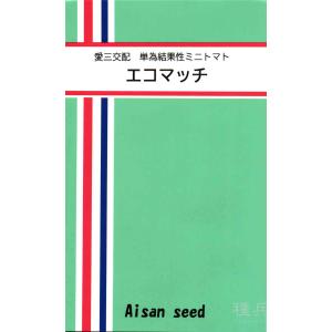 ミニトマト 種 『エコマッチ』 愛三種苗/100粒