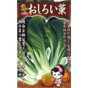 シロナ 種 『おしろい菜』 小林種苗/小袋