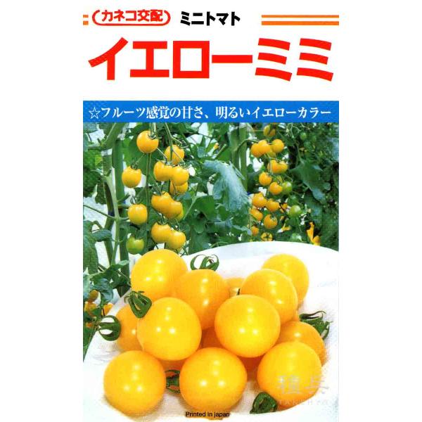 ミニトマト 種 『イエローミミ』  カネコ種苗/ペレット600粒