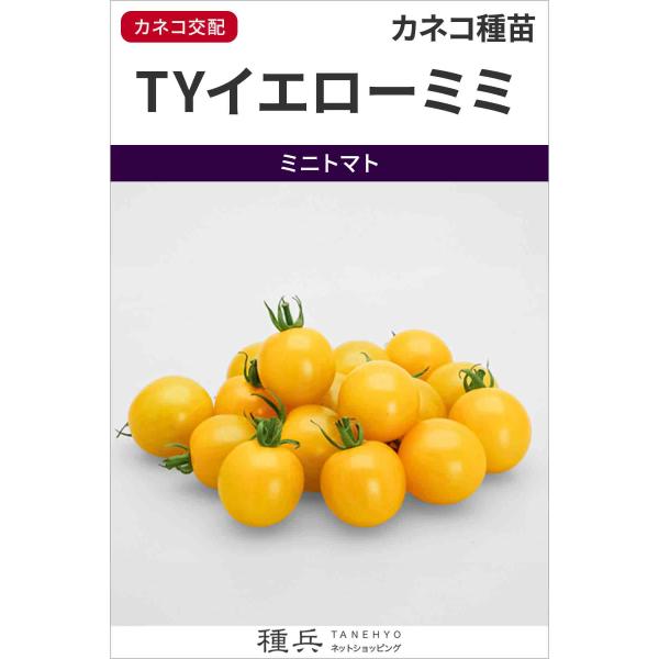 ミニトマト 種 『TYイエローミミ』  カネコ種苗/1000粒