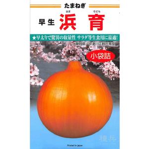 早生タマネギ 種 『浜育』 カネコ種苗/ペレット...の商品画像