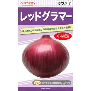 早生赤タマネギ 種 『レッドグラマー』 カネコ種苗/小袋