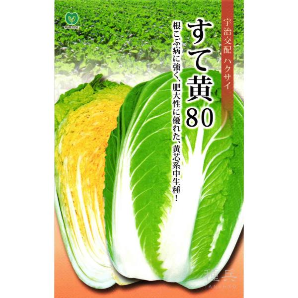 黄芯系中生種ハクサイ 種 『すて黄80』  丸種/小袋
