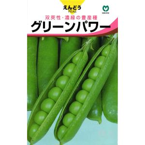 実取りエンドウ 種 『グリーンパワー』 丸種/1dl