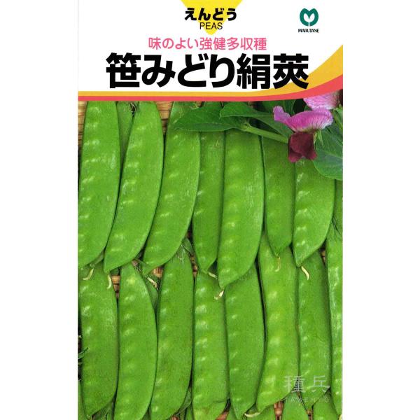 絹さやエンドウ 種 『笹みどり絹莢』  丸種/小袋