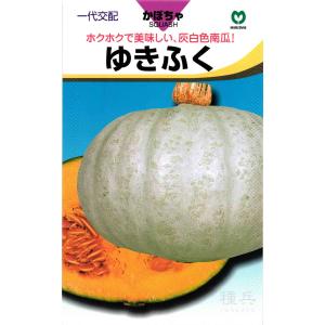 白皮栗カボチャ 種 『ゆきふく』 丸種/小袋の商品画像