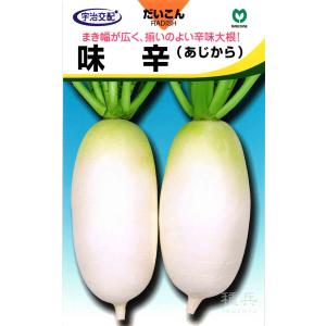 辛味ダイコン 種 『味辛』 丸種/20mlの商品画像