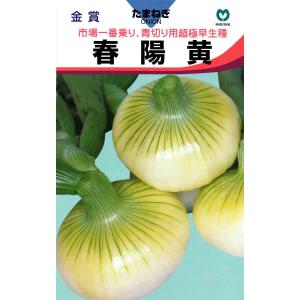 超極早生タマネギ 種 『浜笑』 カネコ種苗/ペレット5000粒 : 種兵