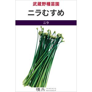 ニラ 種 『ニラむすめ』 武蔵野種苗園/小袋