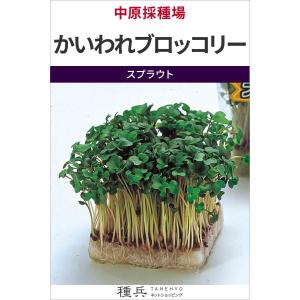 スプラウト 種 『かいわれブロッコリー』 中原採...の商品画像