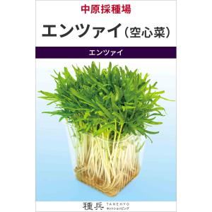 中国野菜 種 『エンツァイ（空心菜）』 中原採種場/1dl