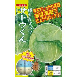 秋〜早春キャベツ 種 『サトウくん』 ナント種苗/ペレット40粒