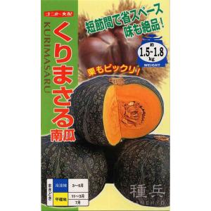 栗カボチャ 種 『くりまさる』 ナント種苗/小袋の商品画像