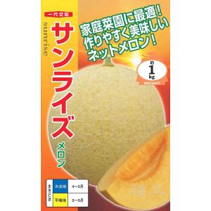 メロン Amazon.co.jp: メロン 種子 ベランダdeメロン アニバーサリー 5