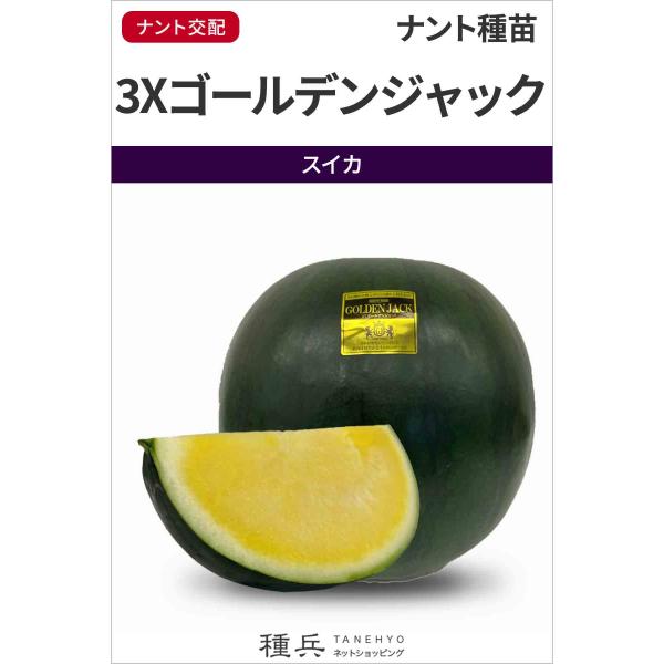 種なしスイカ 種 『3Xゴールデンジャック』  ナント種苗/100粒