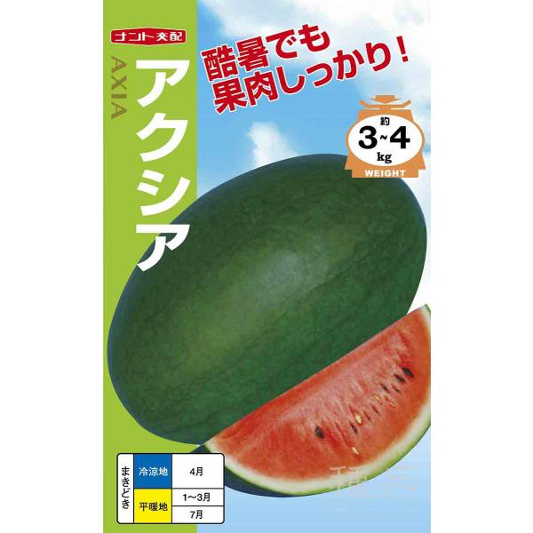 楕円黒皮紅小玉スイカ 種 『アクシア』  ナント種苗/小袋