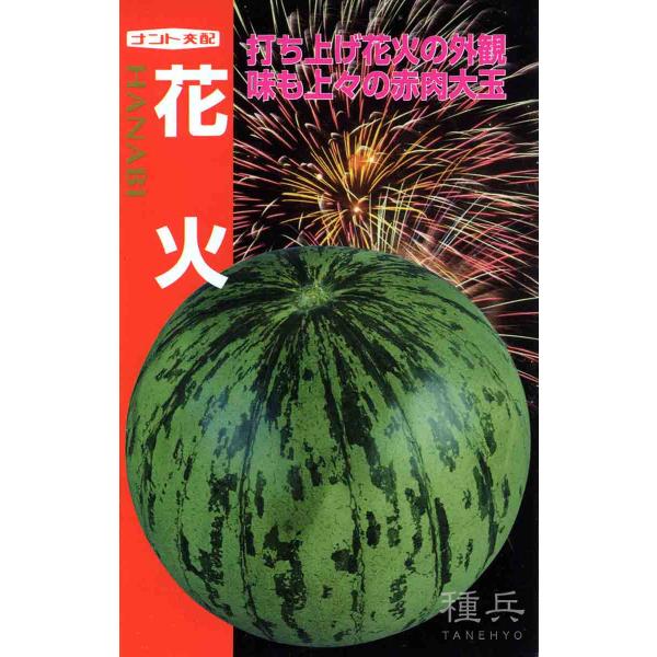 大玉スイカ 種 『花火』  ナント種苗/小袋