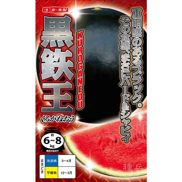 大玉スイカ 種 『黒鉄王』  ナント種苗/小袋