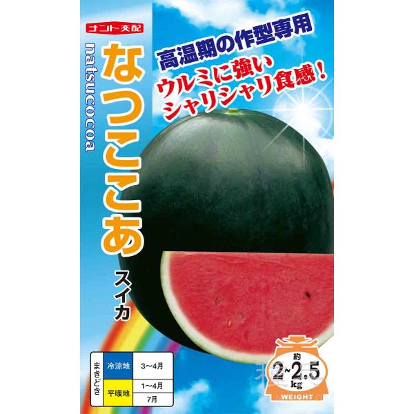 黒皮紅小玉スイカ 種 『なつここあ』  ナント種苗/小袋