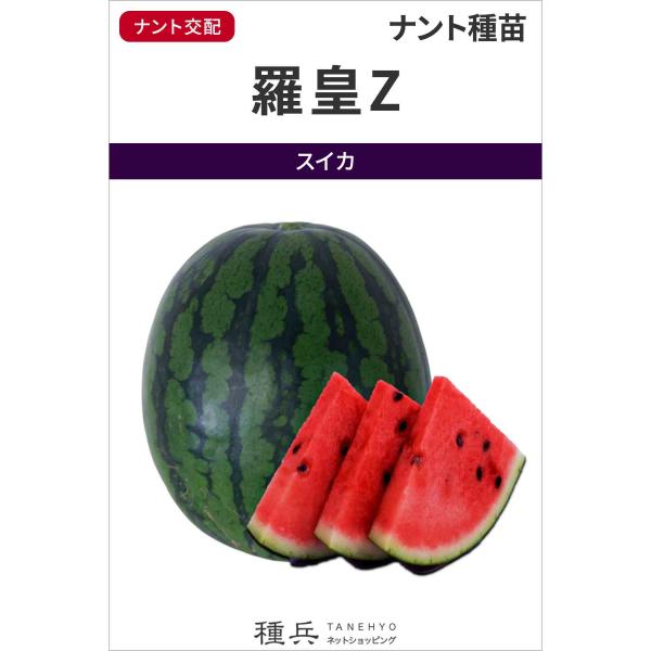 大玉スイカ 種 『羅皇Z』  ナント種苗/200粒