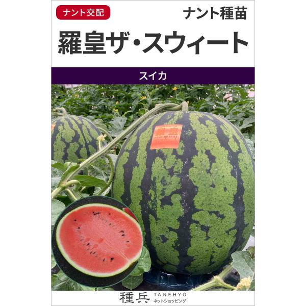 大玉スイカ 種 『羅皇ザ・スウィート』  ナント種苗/200粒