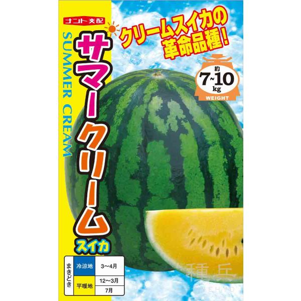 黄大玉スイカ 種 『サマークリーム』  ナント種苗/小袋