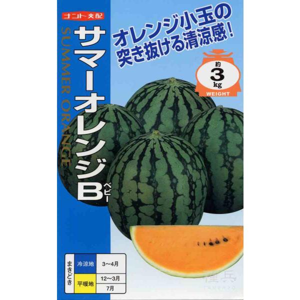オレンジ小玉スイカ 種 『サマーオレンジベビー』  ナント種苗/小袋