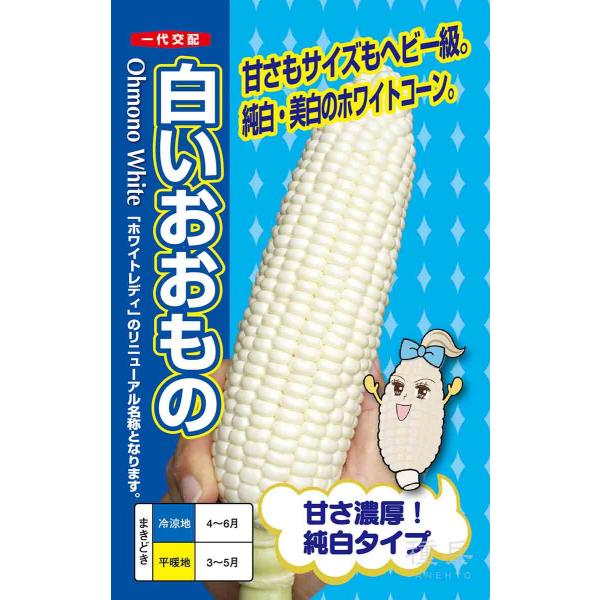 スイートコーン 種 『白いおおもの』 ナント種苗/200粒