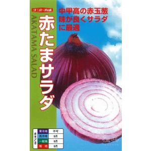 赤タマネギ 種 『赤たまサラダ』 ナント種苗/20ml