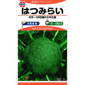 ブロッコリー 種 『はつみらい』 野崎採種場/小袋(100粒)