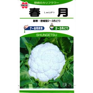 カリフラワー 種 『春月』 野崎採種場/小袋