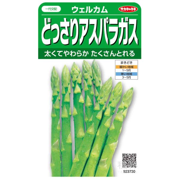 アスパラガス 種 『ウェルカム』  サカタのタネ/1dl