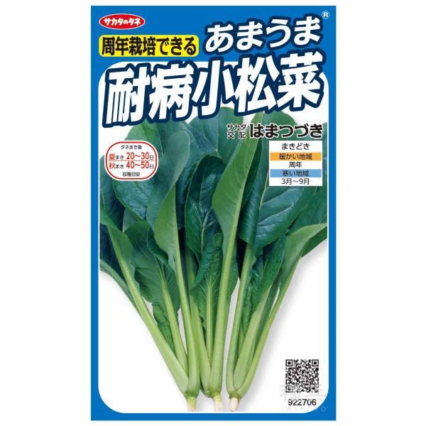 コマツナ 種 『はまつづき』  サカタのタネ/20ml