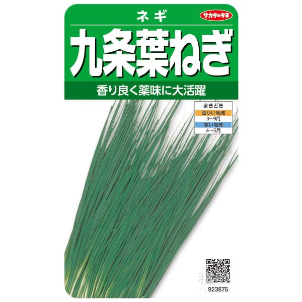 ネギ 種 『九条葉ねぎ』  サカタのタネ/小袋