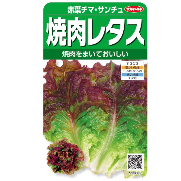 レタス類 種 『赤葉チマ・サンチュ』  サカタのタネ/小袋