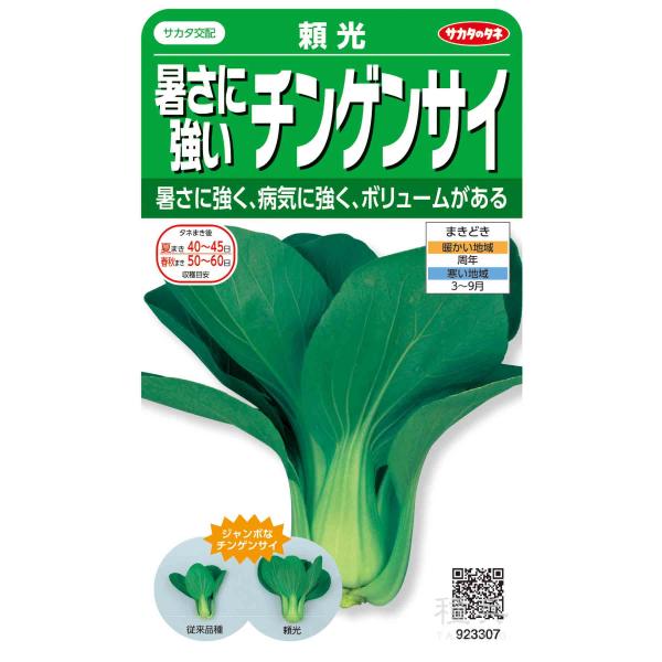 チンゲンサイ 種 『頼光』  サカタのタネ/ペレット 5000粒