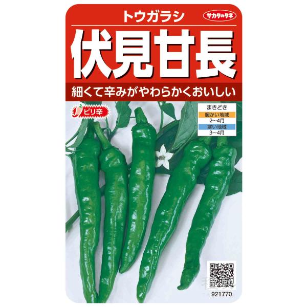 トウガラシ 種 『伏見甘長』  サカタのタネ/小袋